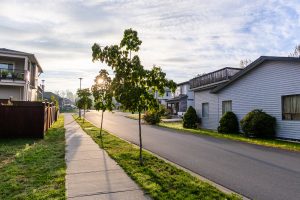 common HOA streetscape questions