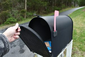 mailbox care